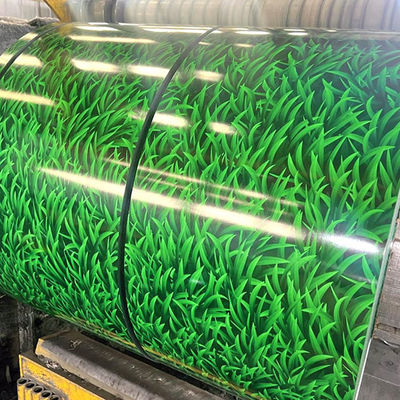 الجودة العالية لون مغلفة نمط لفائف الفولاذ 10-20um غطاء فيلم